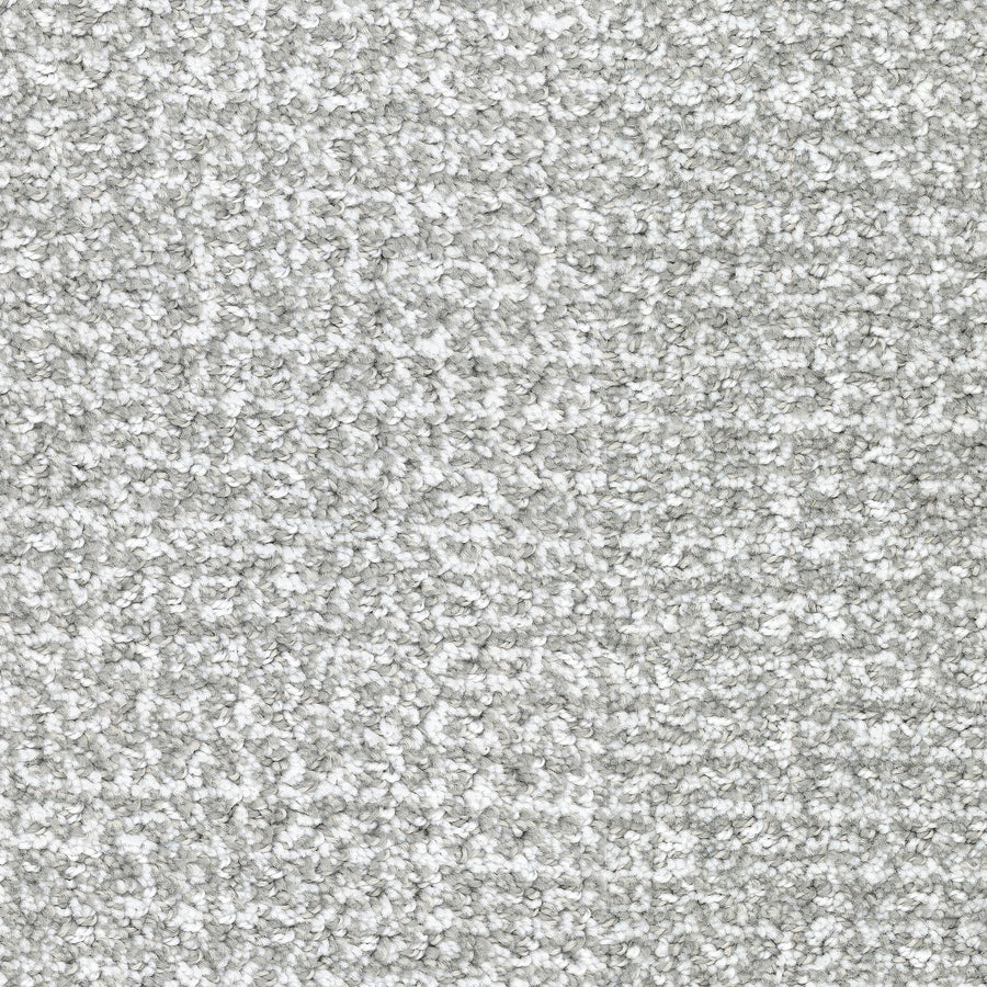 Close-up of Pedigree Pet Friendly Carpet in light gray, featuring a soft, looped pile made from EnVisionSD Solution Dyed Nylon for superior stain resistance and a uniform, textured look—ideal for any home interior.