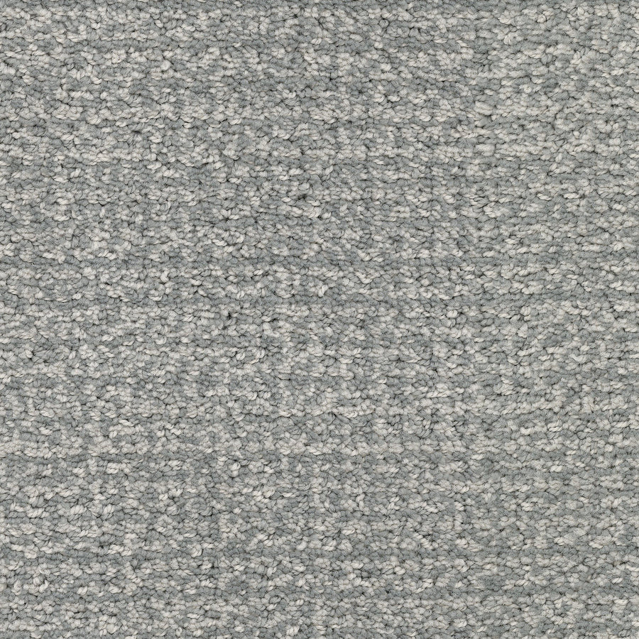 Close-up of Pedigree Pet Friendly Carpet in light gray, featuring a looped pile pattern and dense woven fibers made from EnVisionSD Solution Dyed Nylon—ideal for durable, stain-resistant home interiors with subtle shade variation.