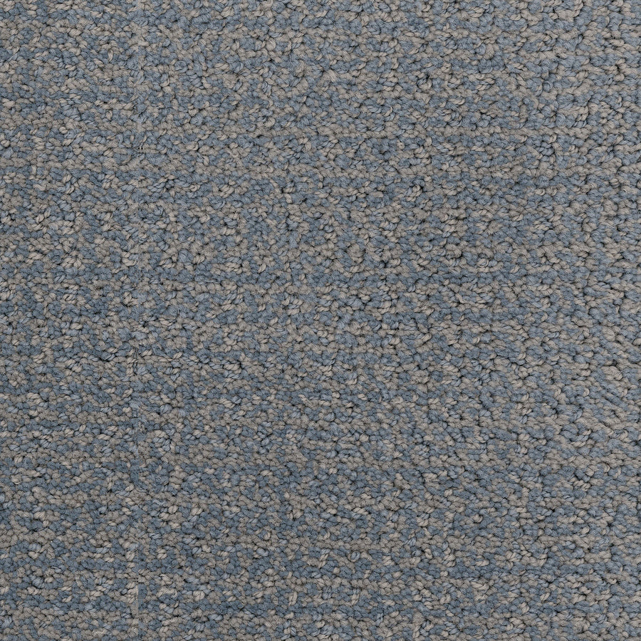 Close-up of Pedigree Pet Friendly Carpet, a textured looped design in light and medium gray, made with EnVisionSD Solution Dyed Nylon for superior stain resistance and durability—ideal for any home interior.