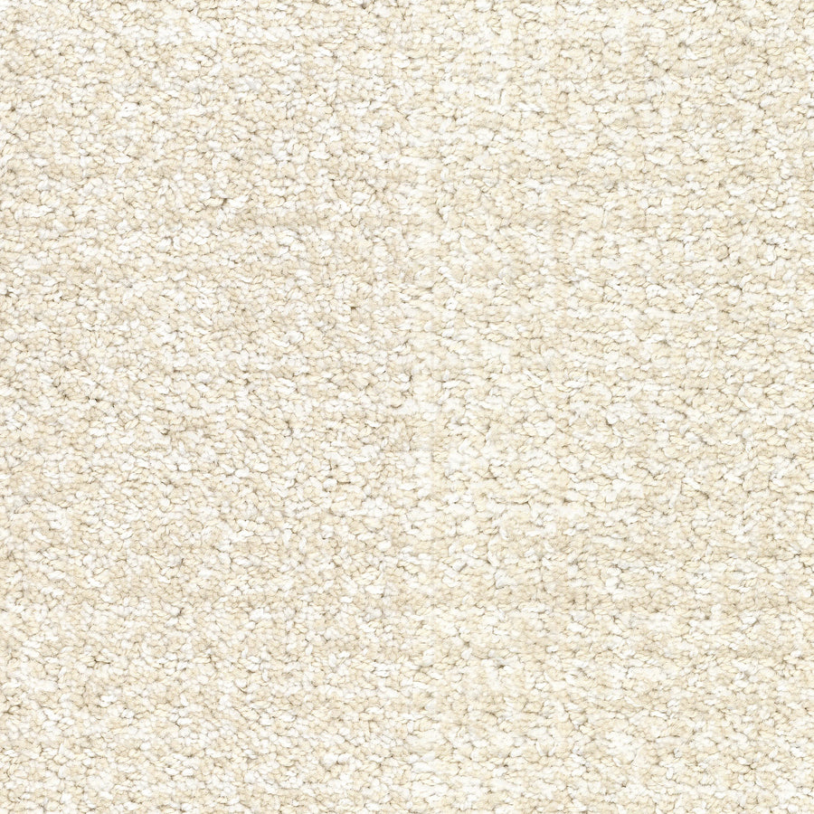 Close-up of Pedigree Pet Friendly Carpet, featuring a soft, textured beige surface and tightly woven EnVisionSD Solution Dyed Nylon fibers for superior stain resistance—perfect for stylish and pet-friendly home interiors.