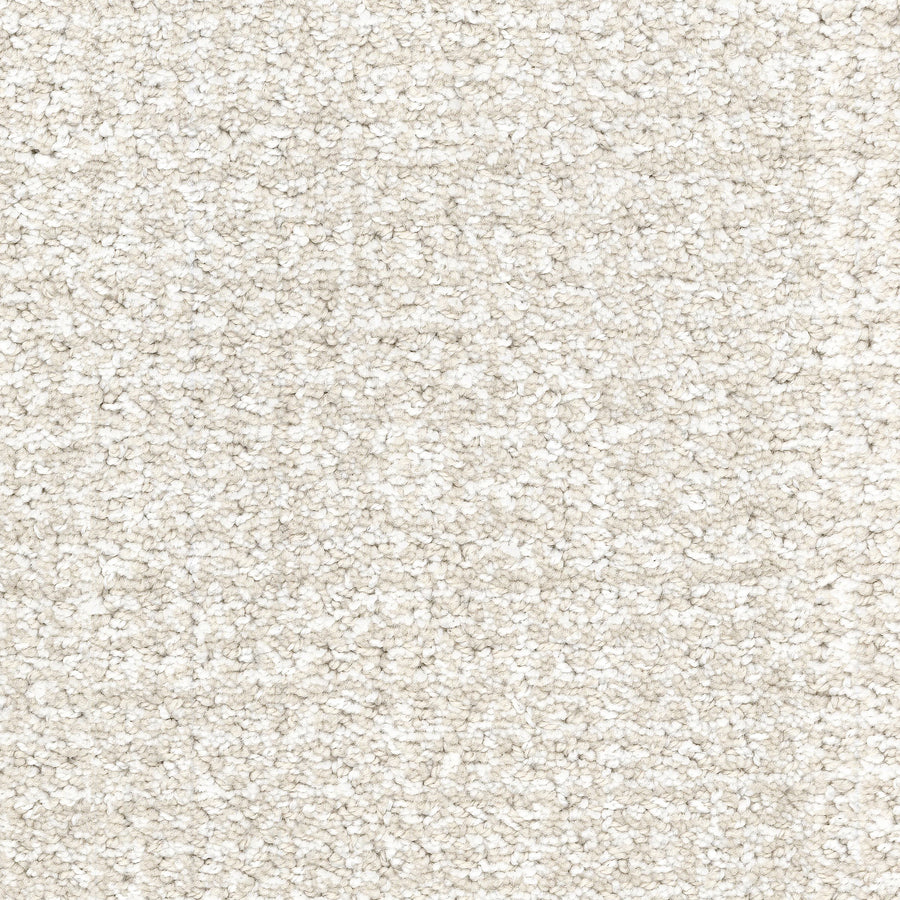 Close-up of Pedigree Pet Friendly Carpet, a light beige, textured, looped pile with a uniform, slightly speckled look—crafted from EnVisionSD Solution Dyed Nylon for superior stain resistance in any home interior.