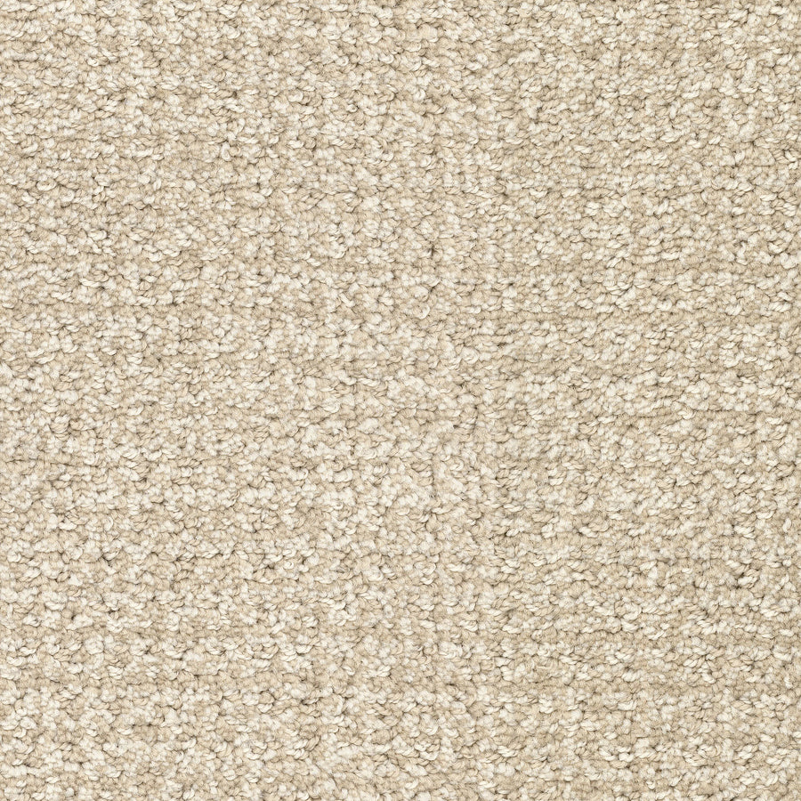 Close-up of Pedigree Pet Friendly Carpet in beige, featuring a textured looped pile. Crafted from EnVisionSD Solution Dyed Nylon for a soft, uniform look and superior stain resistance—perfect for pet-friendly home interiors.