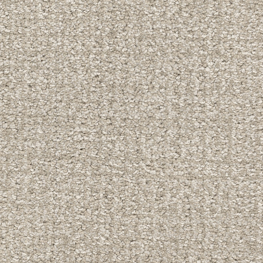 Close-up of Pedigree Pet Friendly Carpet showing tightly woven, looped beige fibers made from EnVisionSD Solution Dyed Nylon for a soft, uniform surface and enhanced stain resistance—perfect for any home interior.