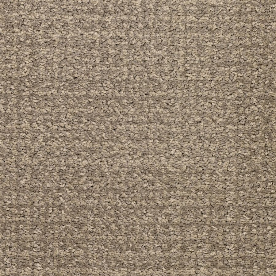 Close-up of Pedigree Pet Friendly Carpet in textured beige, featuring a looped pile and crafted from EnVisionSD Solution Dyed Nylon for superior stain resistance—an ideal durable and stylish choice for any home interior.