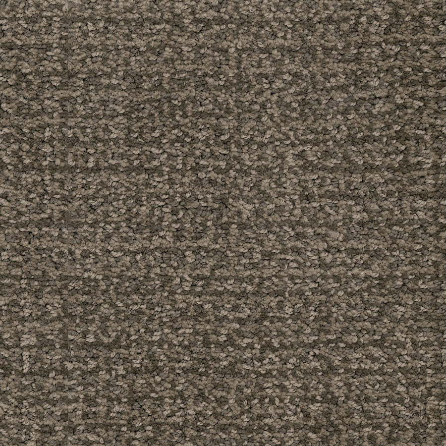 Close-up of Pedigree Pet Friendly Carpet featuring tightly looped EnVisionSD Solution Dyed Nylon fibers for superior stain resistance. Its textured surface blends medium and dark brown tones, perfect for any home interior.