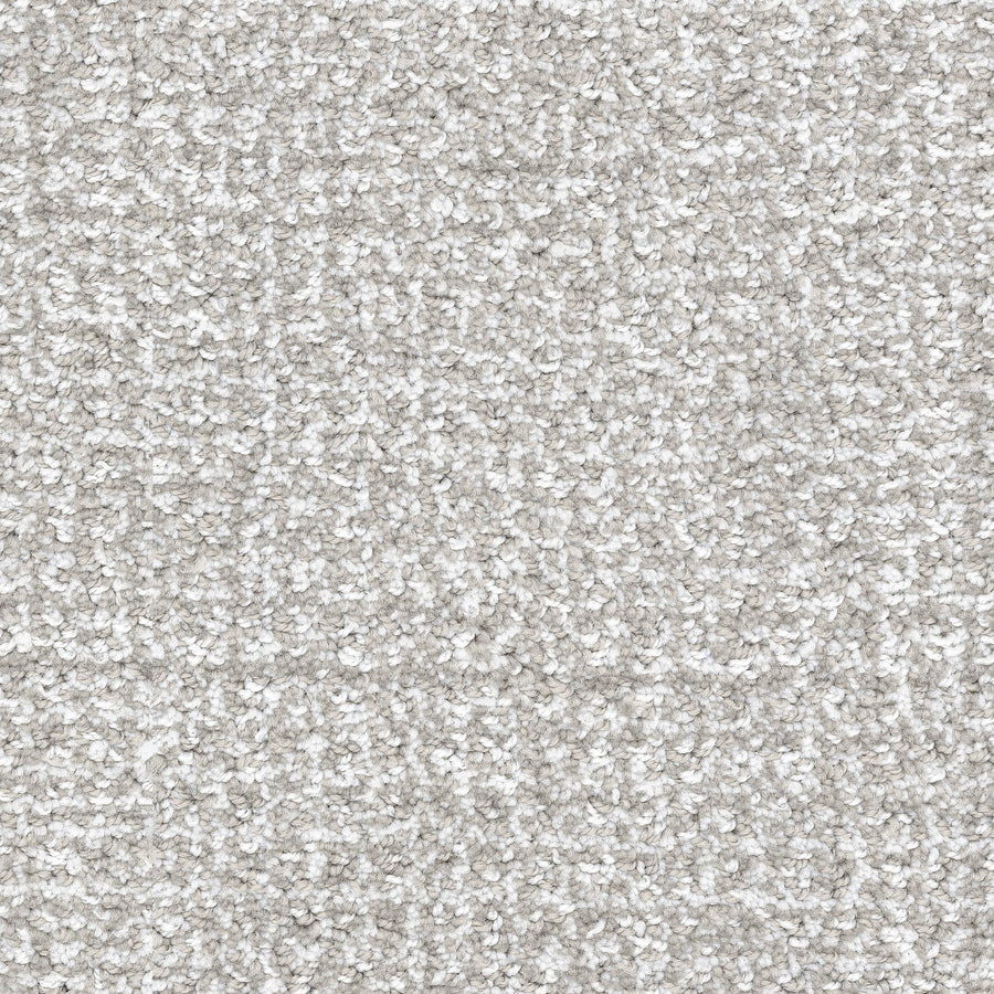 Close-up of Pedigree Pet Friendly Carpet, a light beige, textured carpet made from EnVisionSD Solution Dyed Nylon with a soft looped pile for superior stain resistance—ideal for any home interior.