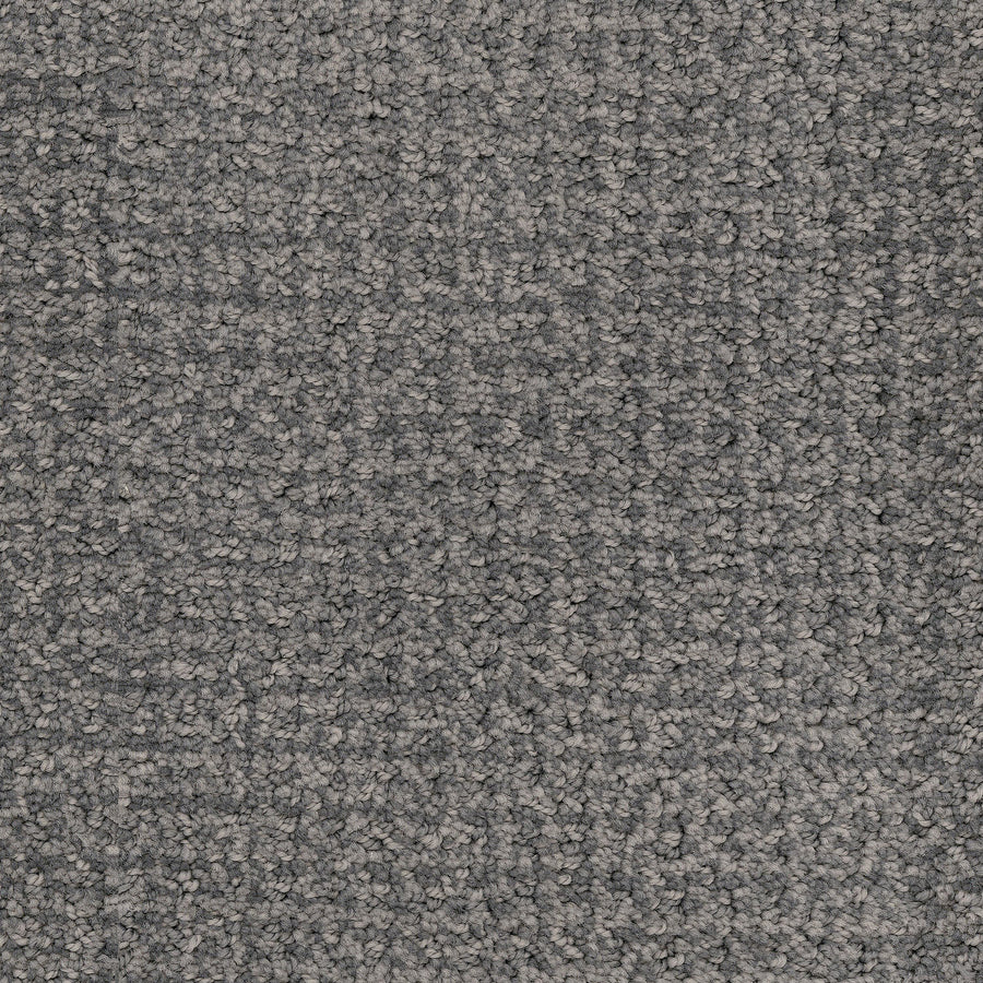 Close-up view of Pedigree Pet Friendly Carpet, a textured gray loop-pile with soft, dense fibers. Made from EnVisionSD Solution Dyed Nylon for stain resistance, its clean and uniform surface is ideal for any home interior.