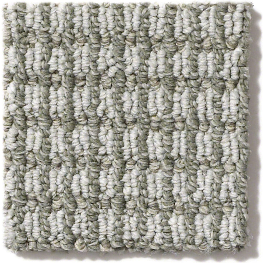 Abbey's Road Pet Friendly Carpet