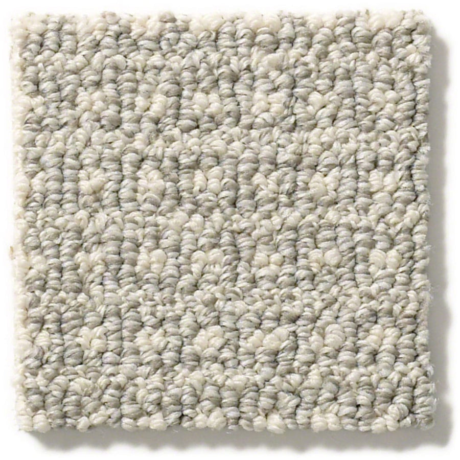 A close-up of Fetch Pet Friendly Carpet, a patterned loop carpet renowned for its durability and resistance to pet hair.