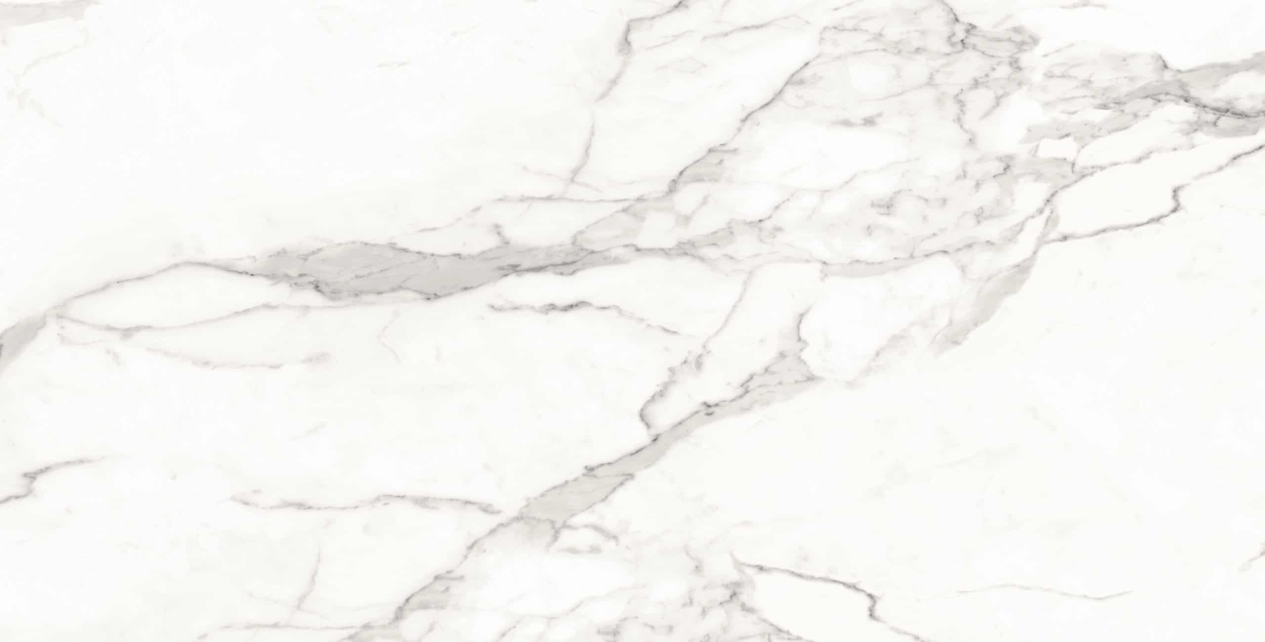 Michelangelo 24x48 Polished Porcelain Tile