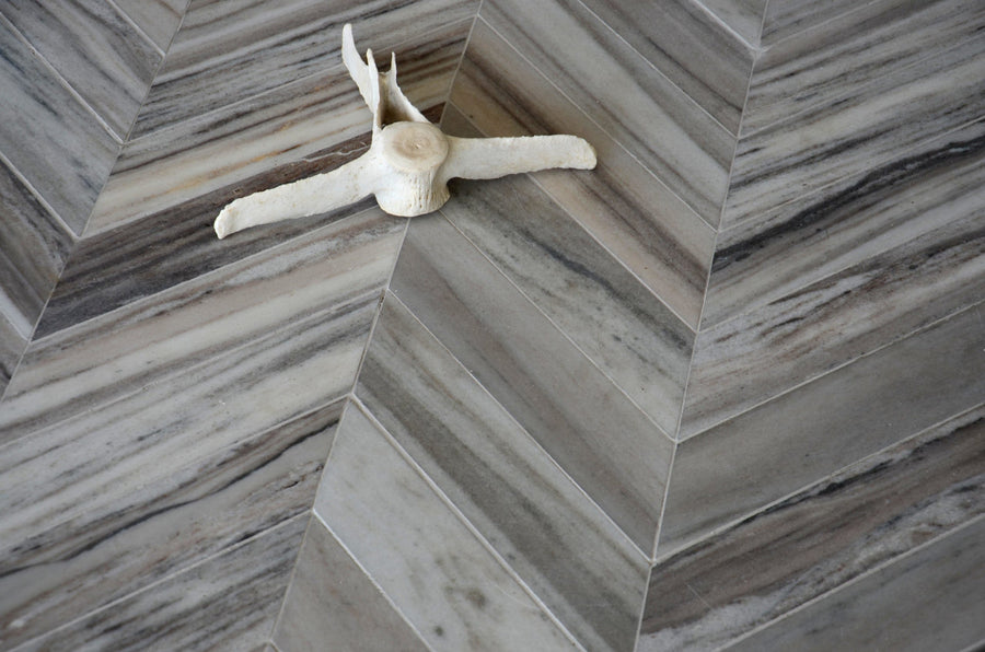 A pale animal vertebra rests on Talya Bosphorus 13 7/16 x 13 7/16 Waterjet Natural Stone, its organic shape contrasting with the tile’s chevron-patterned gray and beige modern geometries.