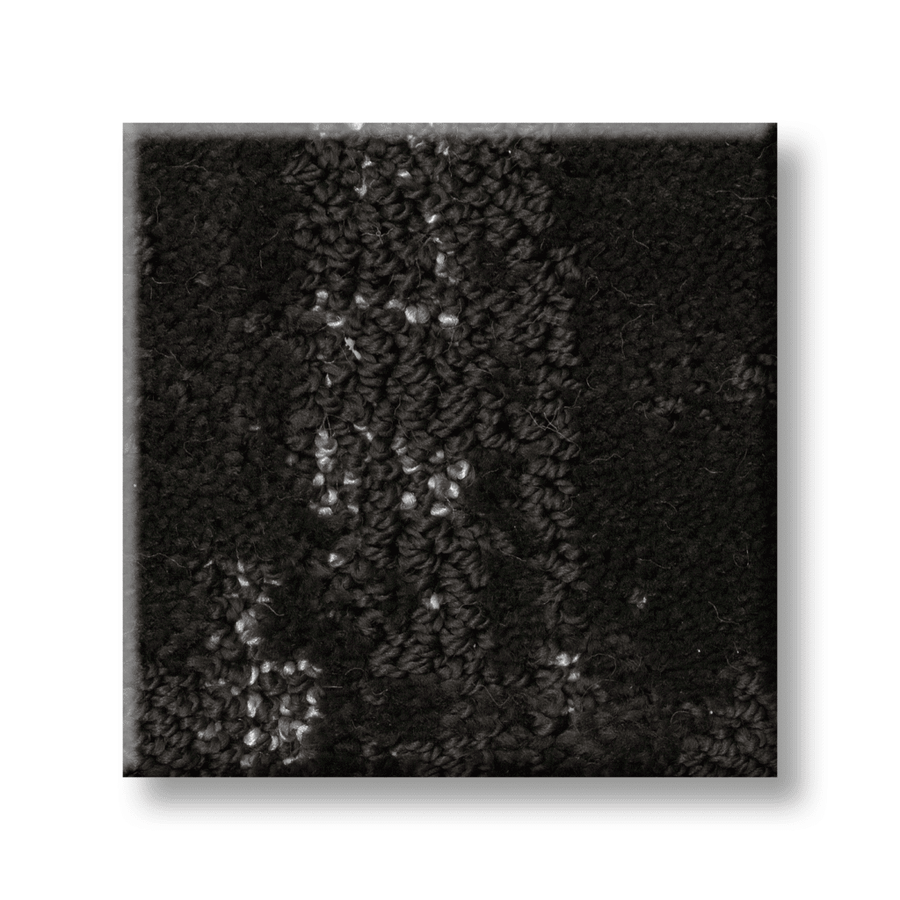 A close-up of Tranquil Spirit Pet Friendly Carpet shows its black color, matte base, and subtle textured style.