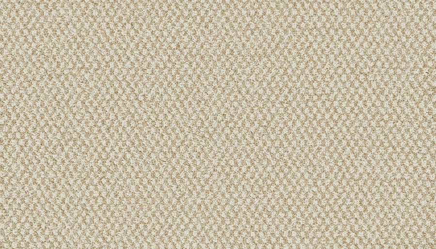Close-up view of Cascading Waters I On Trend Carpet in beige, featuring a textured Kashmere Nylon surface with a tight looped weave, subtle shading, and EasyClean stain protection for soft, uniform, and lasting beauty.