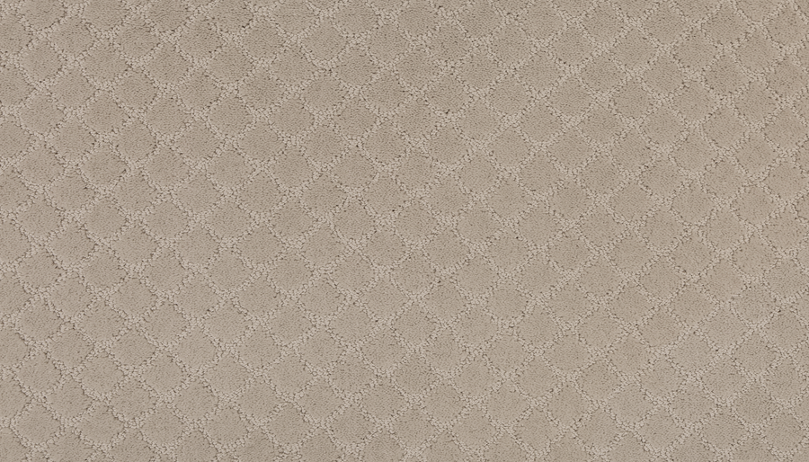 Design Paradise Family Friendly Carpet