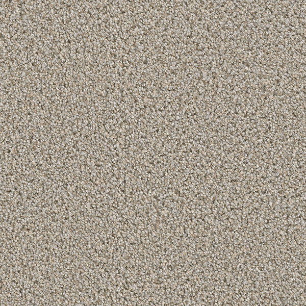 Close-up of Cosmopolitan II Family Friendly Carpet in beige, showcasing tightly woven fibers and a soft, heavy tonal texture—ideal for adding depth and comfort to a sophisticated interior.