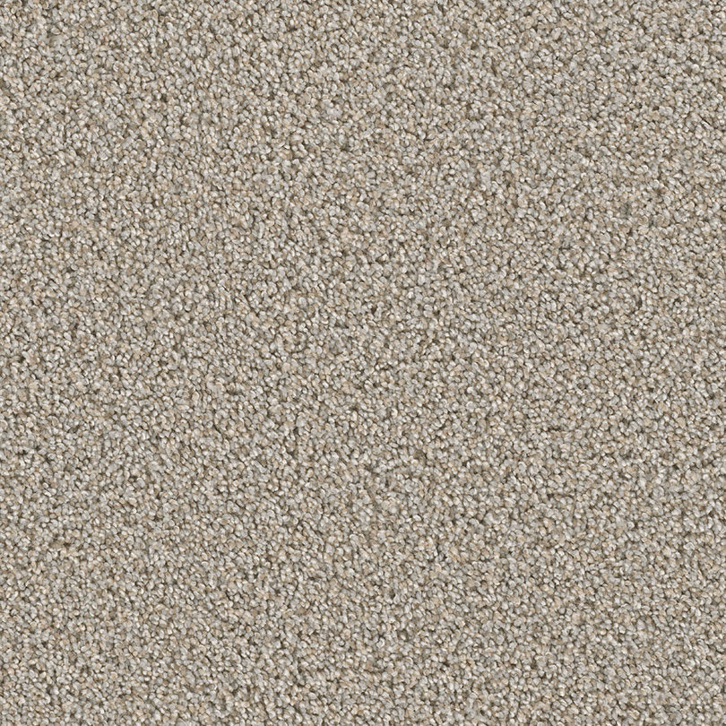 Cosmopolitan II Family Friendly Carpet