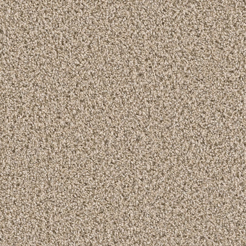 Close-up of Cosmopolitan II Family Friendly Carpet in beige, featuring heavy weight, tightly packed fibers for a plush, uniform surface. Its soft tonal texture and neutral color add subtle elegance—perfect for sophisticated interiors.