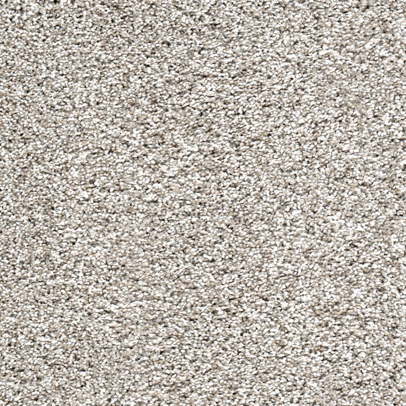 Close-up of Cosmopolitan II Family Friendly Carpet in light beige, featuring a heavy weight, soft tonal texture with slightly speckled, plush fibers. Creates a cozy and neutral surface—perfect for sophisticated interiors.