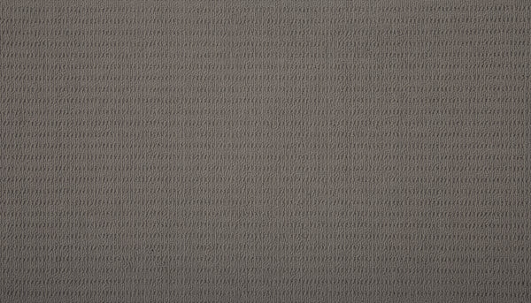 A close-up of Eloquent Vision Family Friendly Carpet shows its gray, textured surface with a subtle horizontal pattern. The weave appears soft and elegant, capturing the refined look typical of luxury flooring under even lighting.