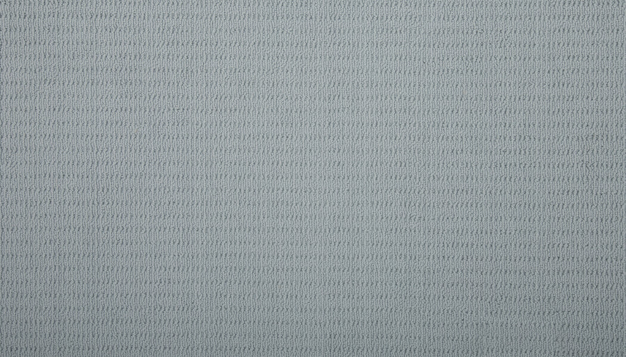 Eloquent Vision Family Friendly Carpet