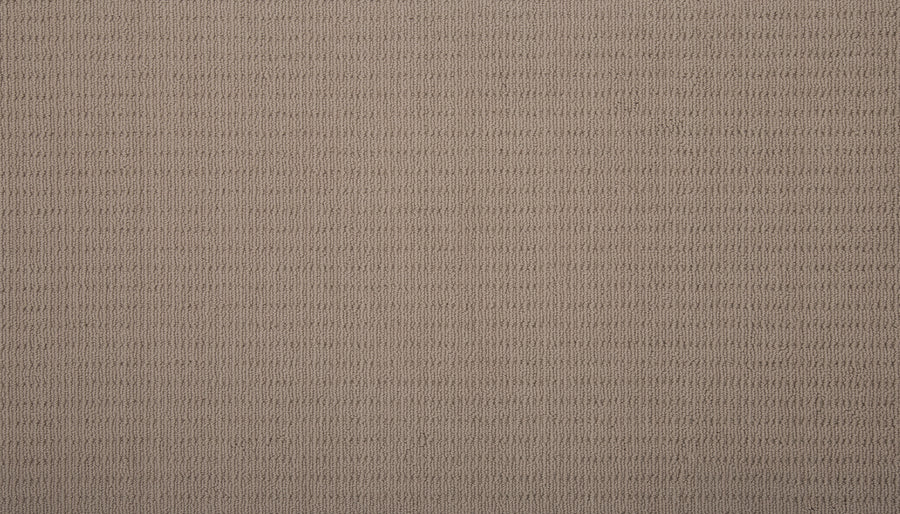 Eloquent Vision Family Friendly Carpet