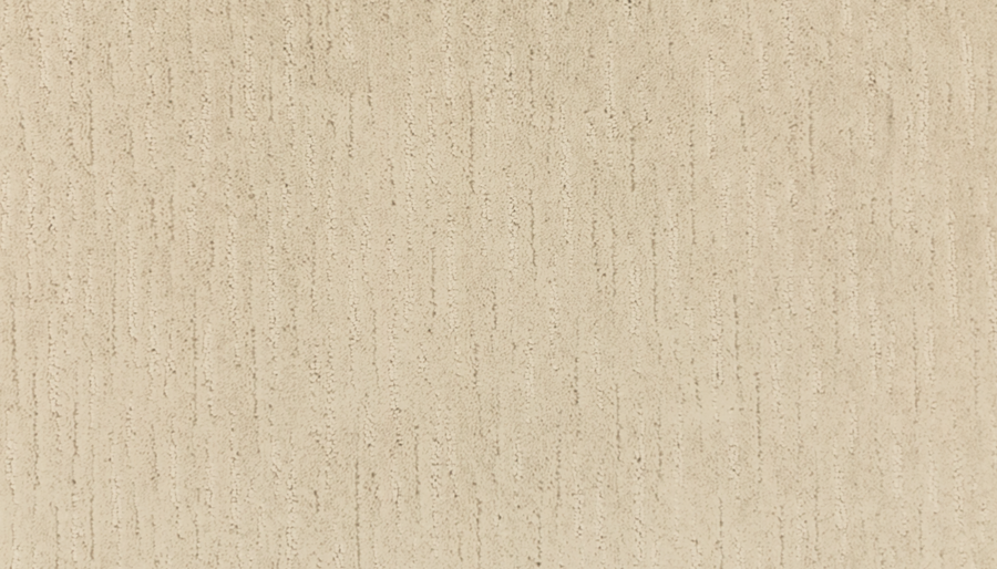 Exciting Choice Family Friendly Carpet features a beige textured surface with subtle vertical streaks and lines, offering a modern, uniform, and neutral look resembling fabric or wallpaper. It's ideal for any space needing style and versatility.