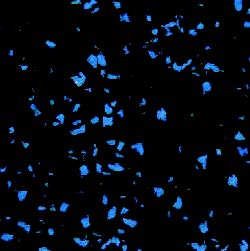 The image shows a black background with evenly distributed, glowing blue particles resembling the interlocking pattern of Fitness Flooring High Performance 23 x 23 Rubber Interlocking Tile.