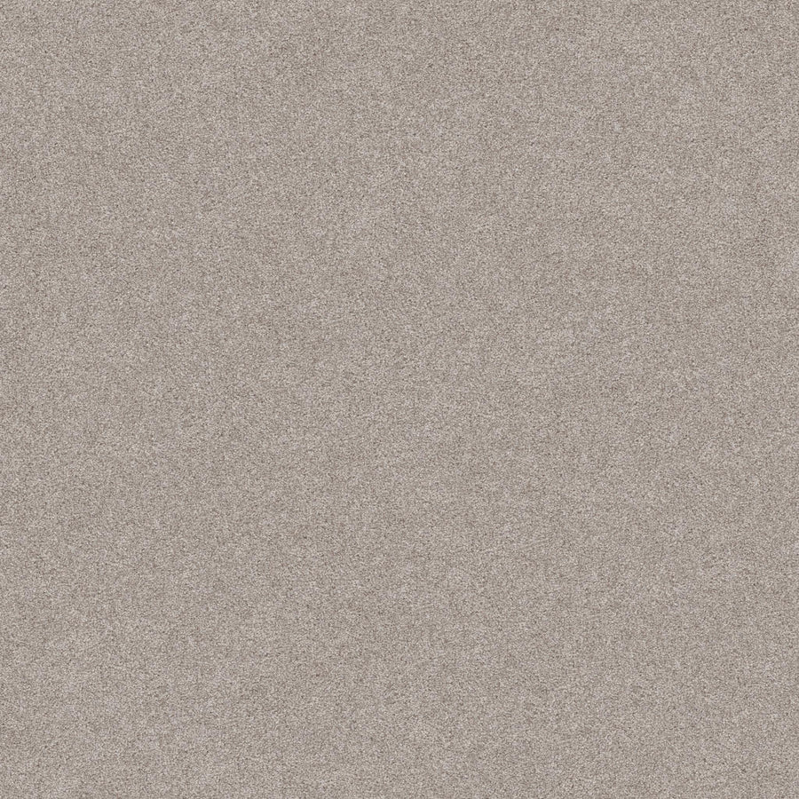 Close-up of Harmonious II Family Friendly Carpet shows fine, evenly spread grayish-beige fibers with a granular texture, filling the frame. The natural insulation is evident, and there are no visible patterns or objects.