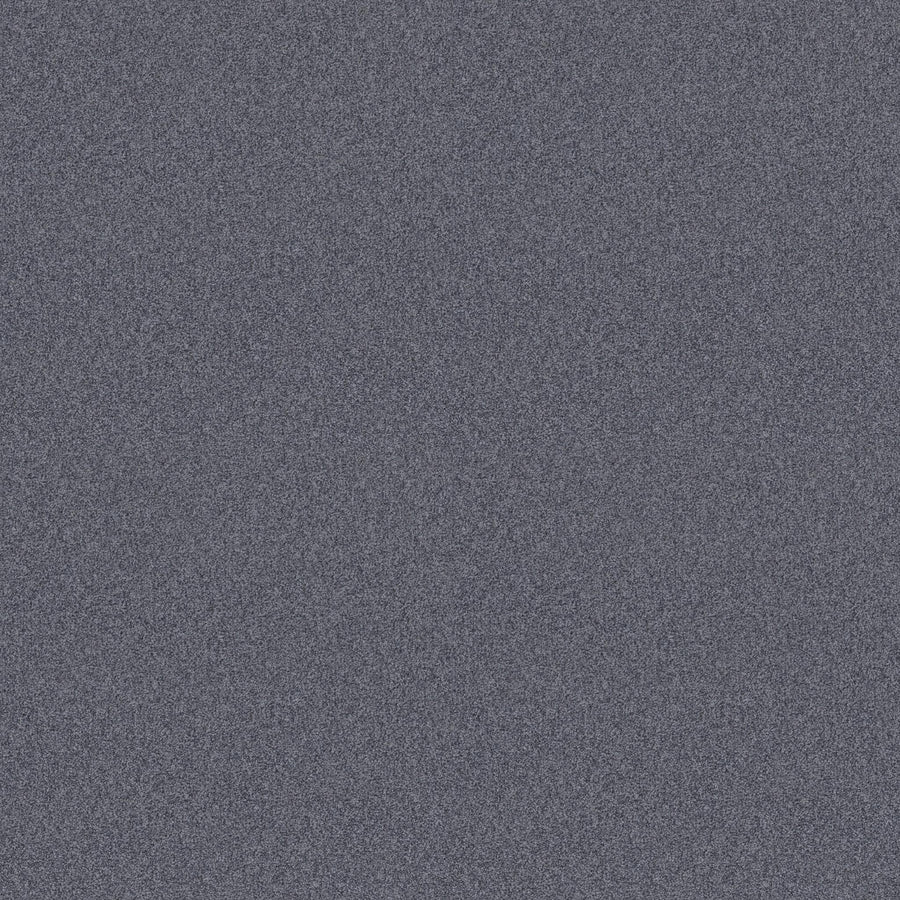 Harmonious II Family Friendly Carpet features a dense, textured surface with fine gray and black speckles, providing subtle style and natural insulation for enhanced comfort.