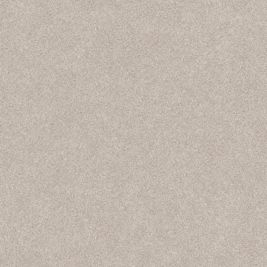 Harmonious II Family Friendly Carpet