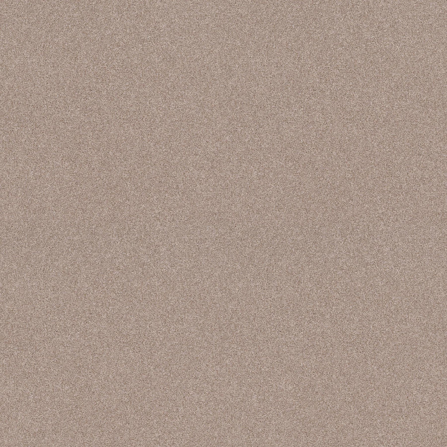 A close-up of Harmonious II Family Friendly Carpet shows its textured, light brown surface with a uniform, speckled look, resembling fine sandpaper and providing natural insulation.