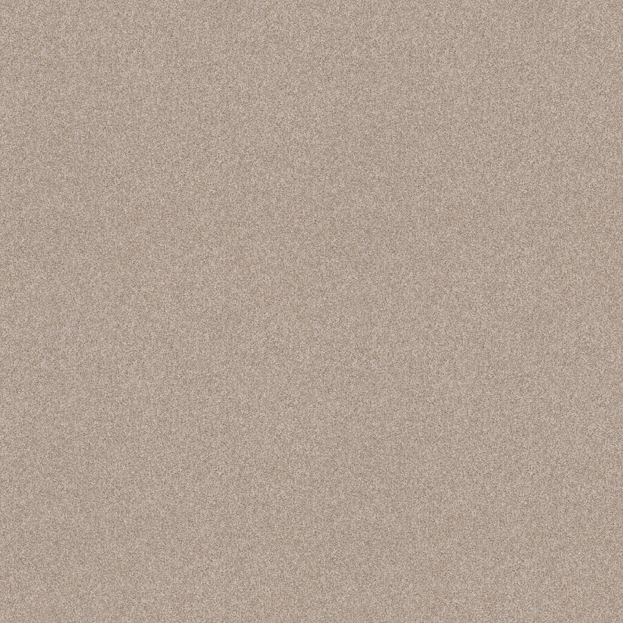 Close-up view of Harmonious II Family Friendly Carpet in a fine, light brown shade with a uniform, subtly textured surface—evoking natural warmth and understated beauty. No distinct patterns or objects are seen.
