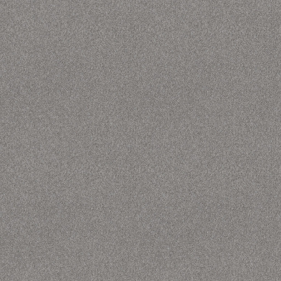 A static, grainy pattern—like television noise—with countless tiny black, white, and gray speckles evenly distributed, similar to the look of Harmonious II Family Friendly Carpet designed for stain resistance.