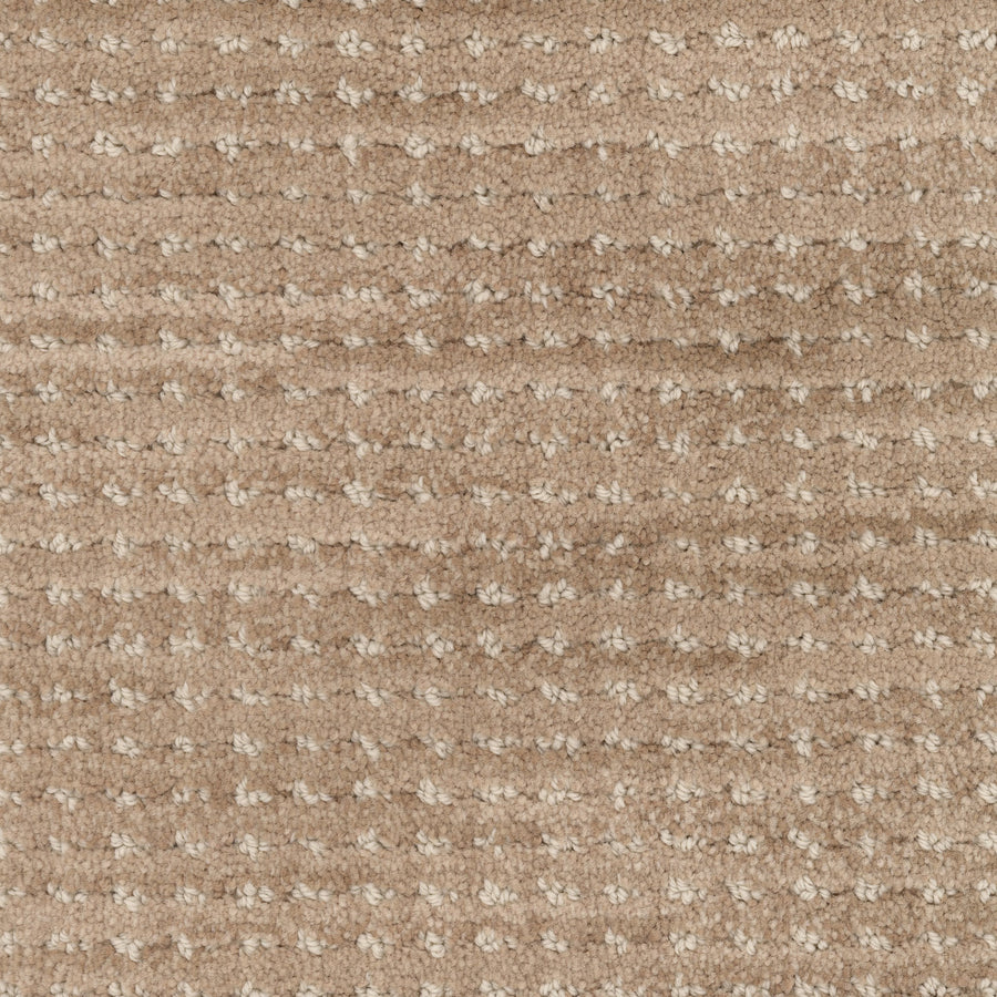 Close-up of Imagine Pet Friendly Carpet in beige, featuring a soft surface with a subtle dotted and striped woven pattern. The handmade look mixes light and slightly darker beige tones for authentic style.