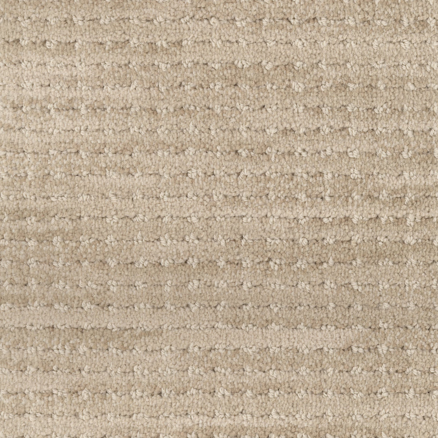 Close-up of Imagine Pet Friendly Carpet in beige, featuring a subtle grid-like pattern of small, raised loops and lines. The soft, plush surface highlights its handmade look and is designed for durability in pet-friendly homes.