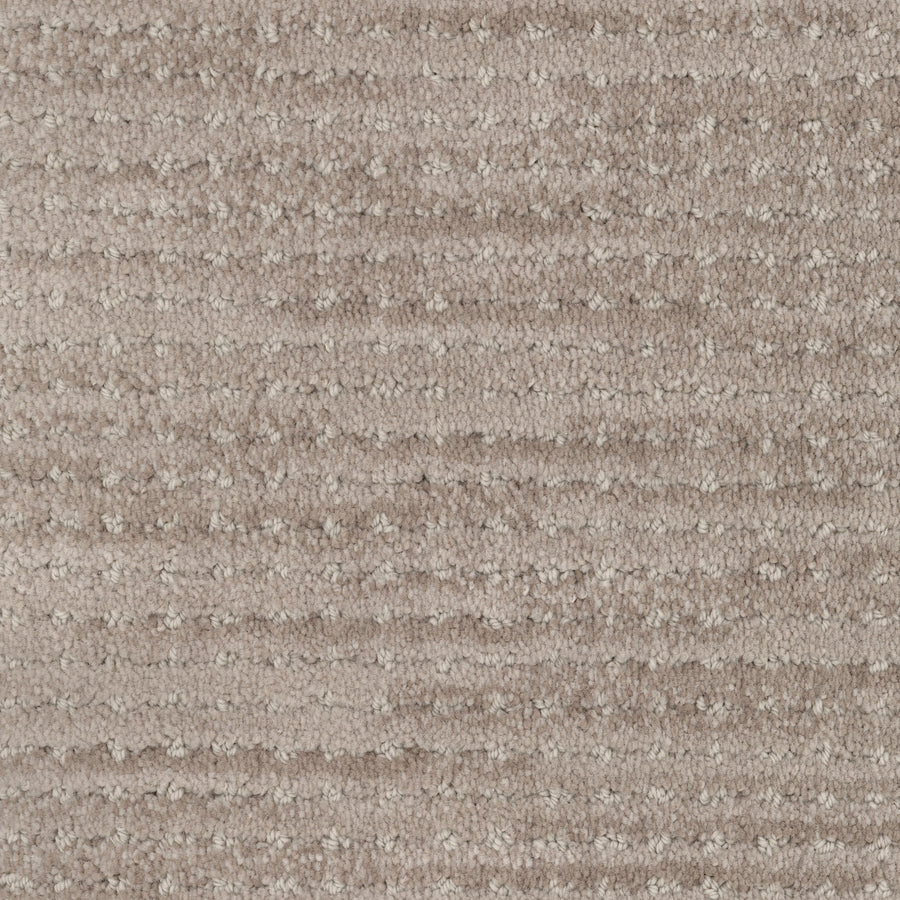 Imagine Pet Friendly Carpet