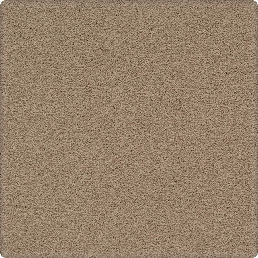 A close-up of Dynamic Display Family Friendly Carpet reveals a dense, even beige pile with soft, uniform texture and subtle shade variations—perfect for decorators seeking easy-care durability.