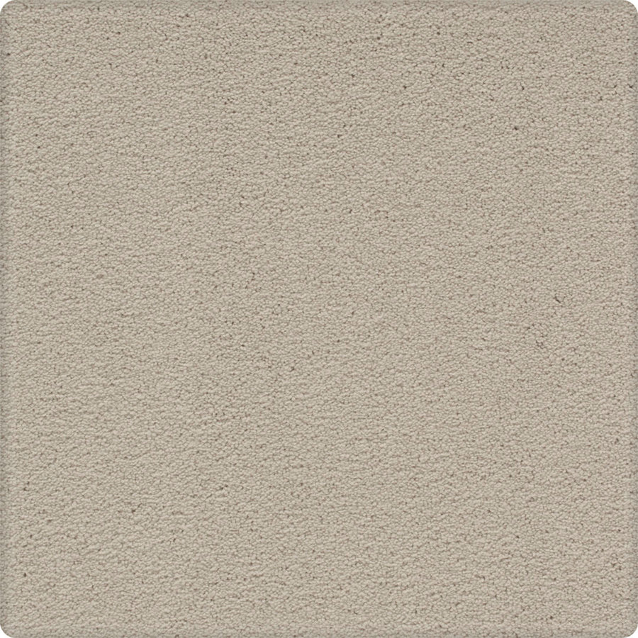 A close-up of Dynamic Display Family Friendly Carpet reveals its plain, light beige textured surface—soft, slightly speckled, and durable for easy care, making it a decorator’s dream.