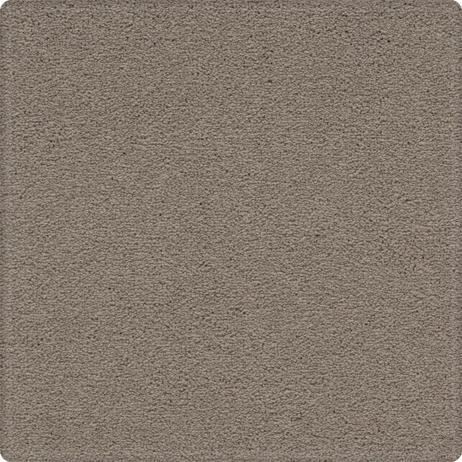 Close-up of Dynamic Display Family Friendly Carpet in textured light brown, featuring a plush, even pile. Cozy fibers fill the scene with gently rounded corners, combining decorator style with comfort and easy-care durability.
