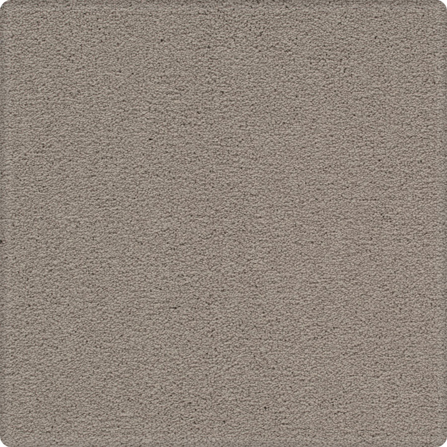 A close-up of Dynamic Display Family Friendly Carpet shows its textured, light gray surface with dense, subtle fibers—offering decorator appeal and easy-care durability. The image displays gently rounded corners.