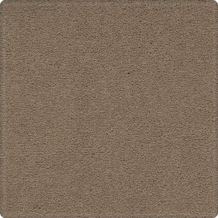 Close-up of the Dynamic Display Family Friendly Carpet—textured light brown plush surface with rounded corners, filling the frame. This decorator's dream blends easy-care durability and style, perfect for any home.