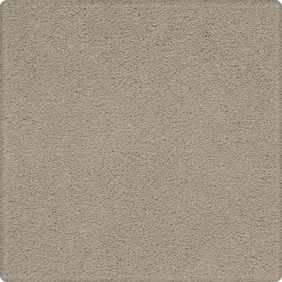 Dynamic Display Family Friendly Carpet—a light beige, soft, gently textured carpet with rounded corners and easy-care durability that fills the entire frame.