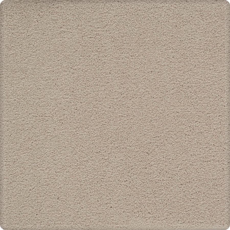 A close-up of the Dynamic Display Family Friendly Carpet shows its beige, textured, and slightly speckled surface—designed for easy care, durability, and a decorator’s dream look.
