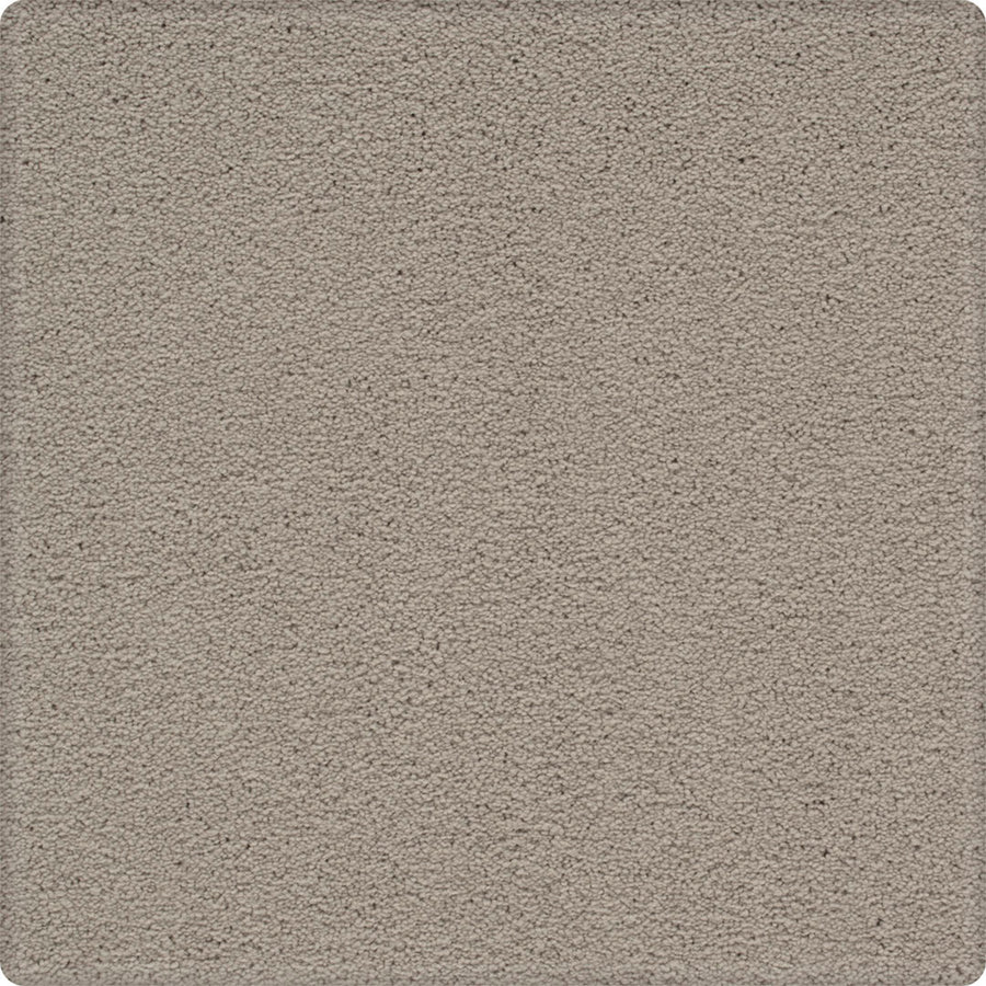 Dynamic Display Family Friendly Carpet features a light gray, softly speckled texture with a uniform look—durable and easy to maintain. It’s pattern-free, offering seamless style that decorators love and fits any room effortlessly.