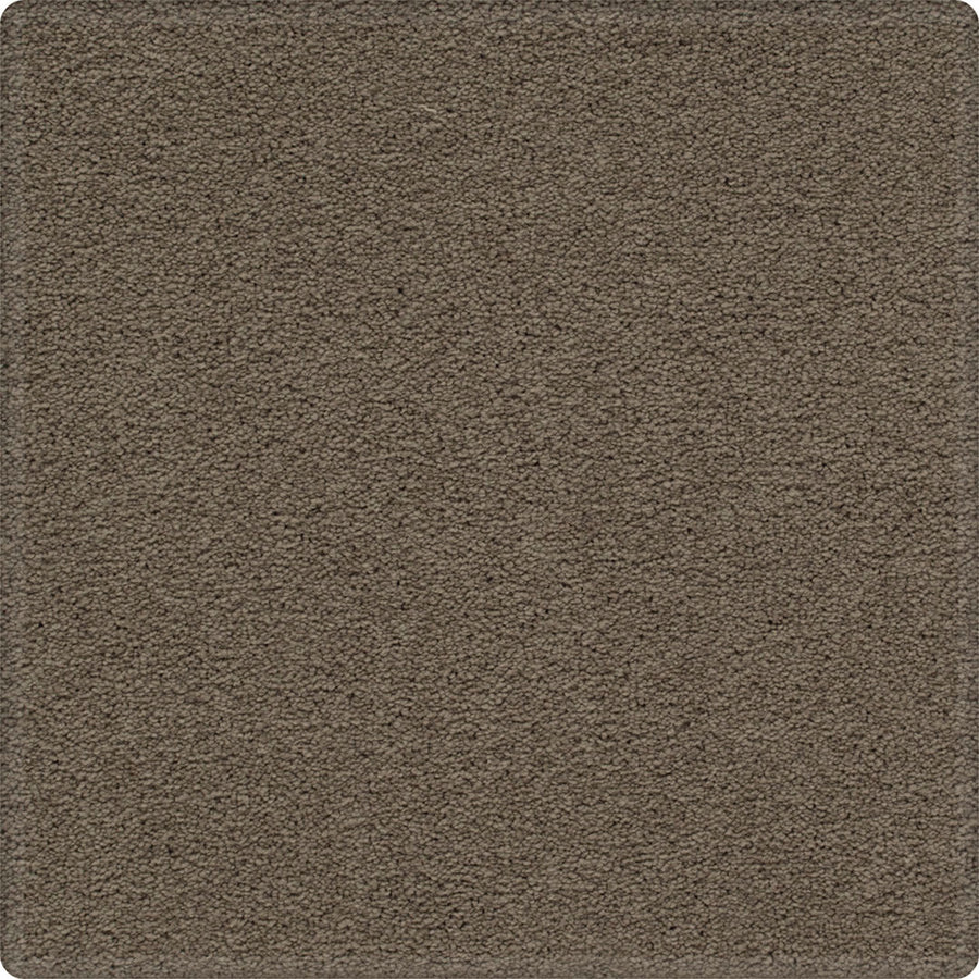 A close-up of a rectangular swatch of Dynamic Display Family Friendly Carpet, featuring a soft, brown textured surface with rounded corners—an easy-care, durable option ideal for decorators.