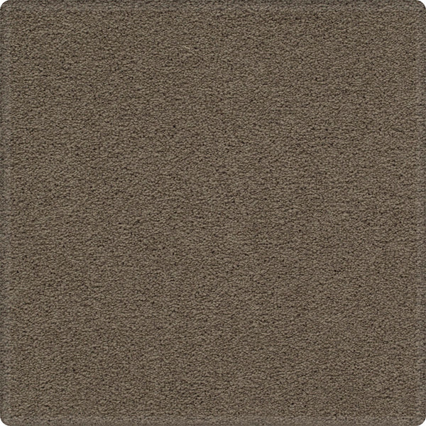 A close-up of a rectangular swatch of Dynamic Display Family Friendly Carpet, featuring a soft, brown textured surface with rounded corners—an easy-care, durable option ideal for decorators.