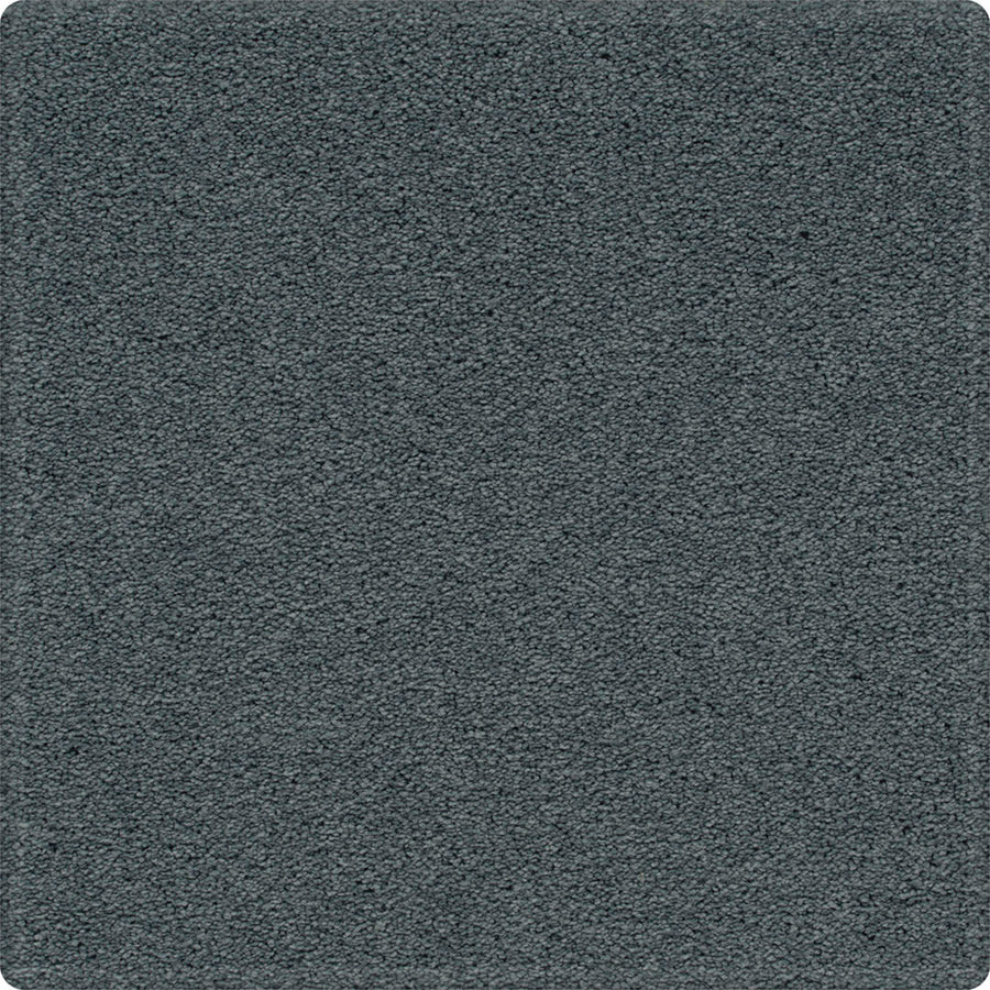 The Dynamic Display Family Friendly Carpet is a dark gray, rectangular carpet with rounded corners and a dense, soft texture—combining easy-care durability with stylish design for any decor.