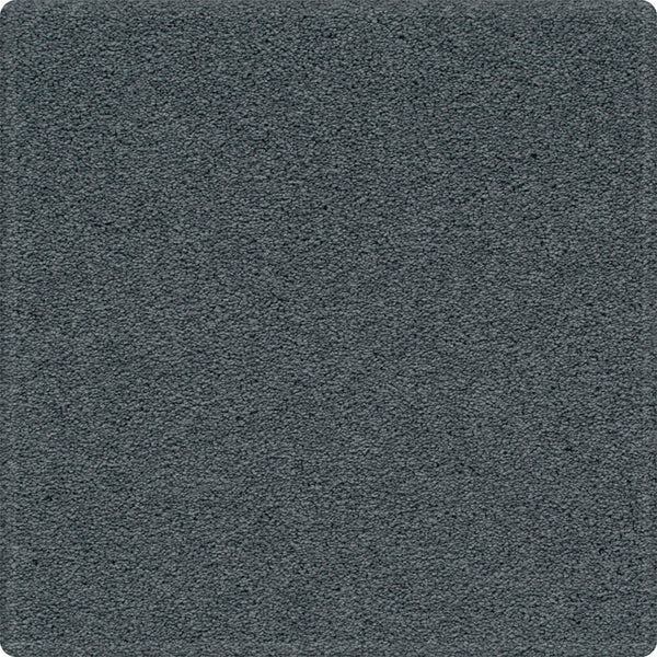 The Dynamic Display Family Friendly Carpet is a dark gray, rectangular carpet with rounded corners and a dense, soft texture—combining easy-care durability with stylish design for any decor.