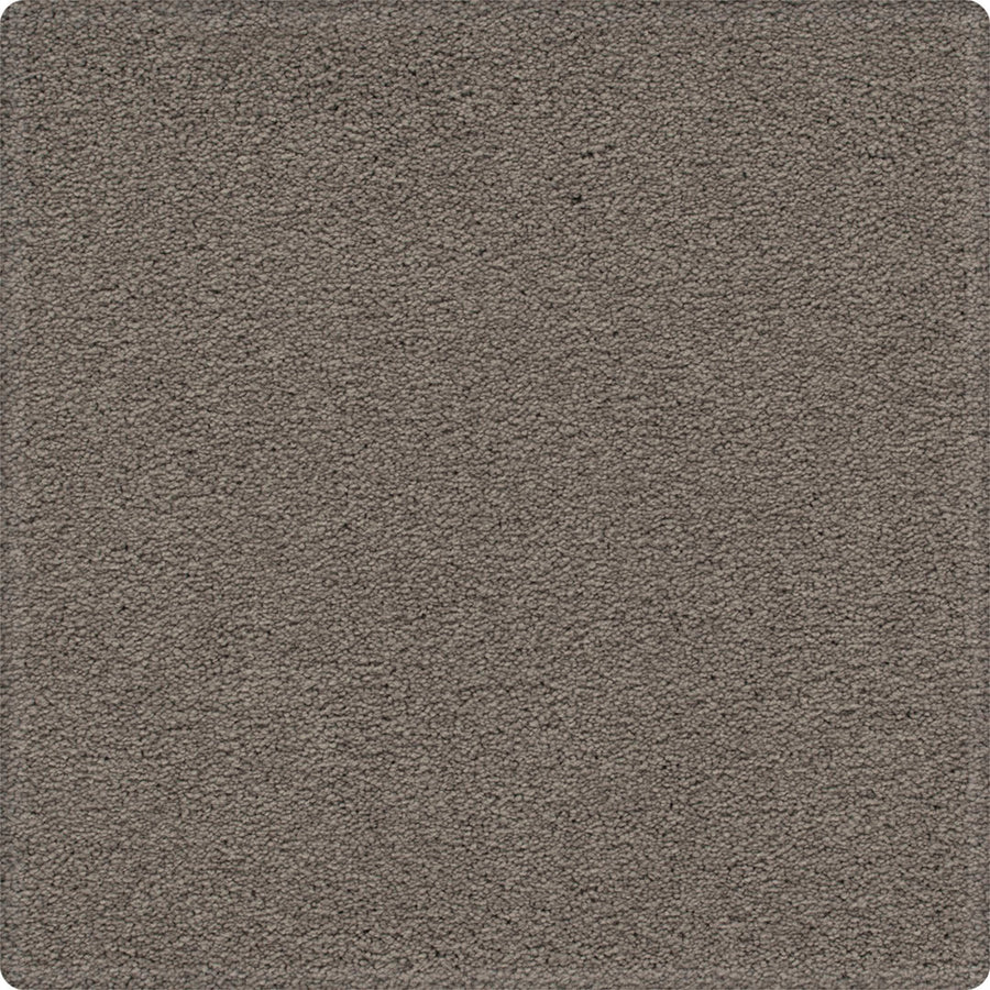 A close-up of Dynamic Display Family Friendly Carpet—the decorator's dream with luxurious texture and easy-care durability for stylish, stress-free living.
