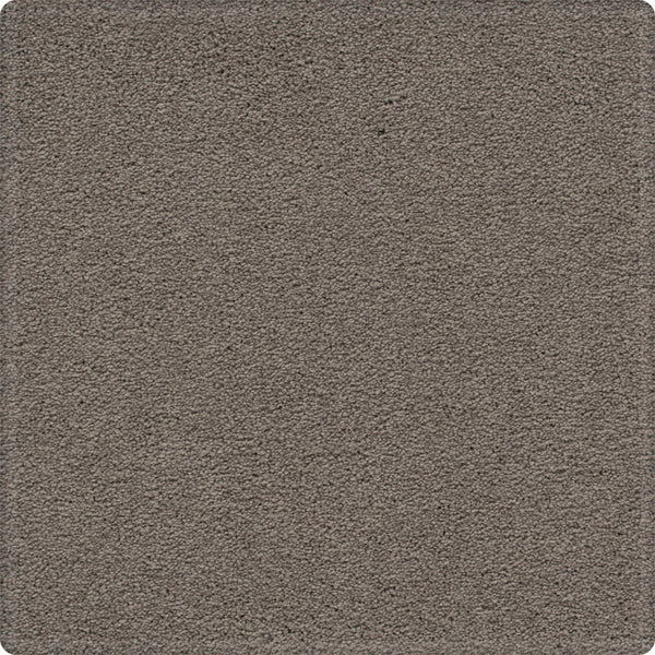 A close-up of Dynamic Display Family Friendly Carpet—the decorator's dream with luxurious texture and easy-care durability for stylish, stress-free living.